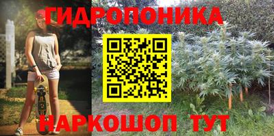 скорость Камышлов